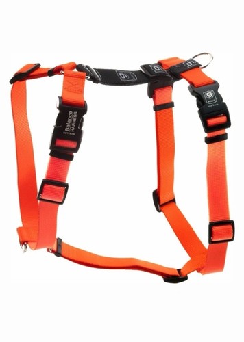 Blue pet products - pet,