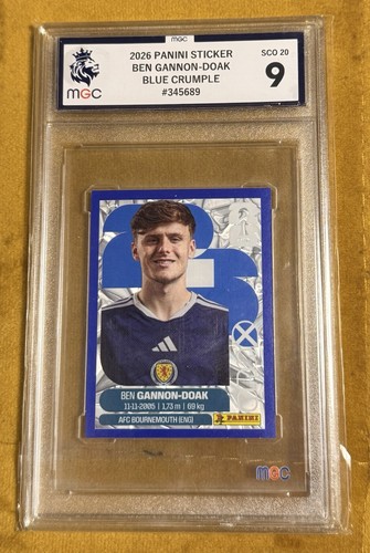2026 panini fifa - 2026, world